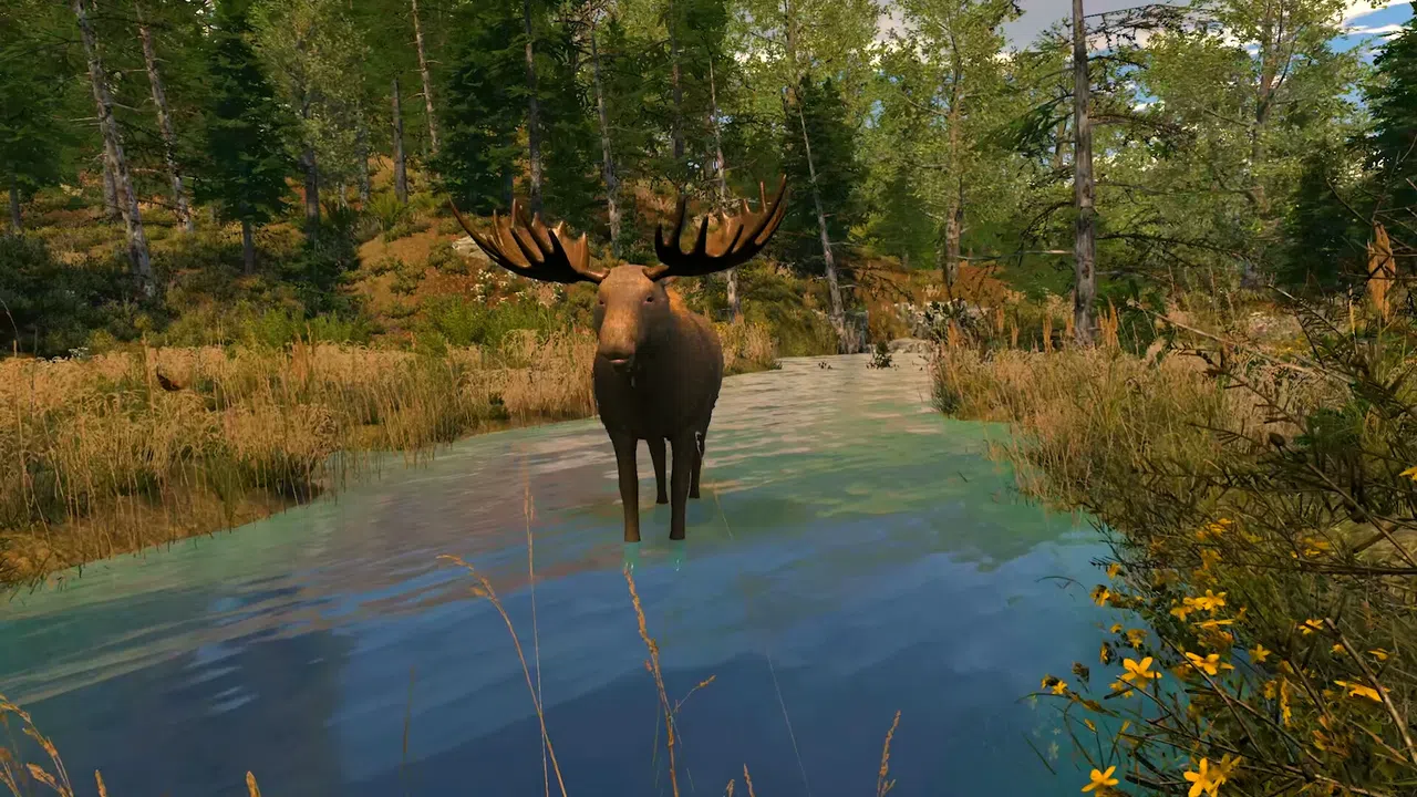 Capture The Wild Screenshot 8