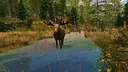 Capture The Wild Screenshot 8