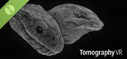 Tomography VR Demo