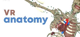 VR Anatomy