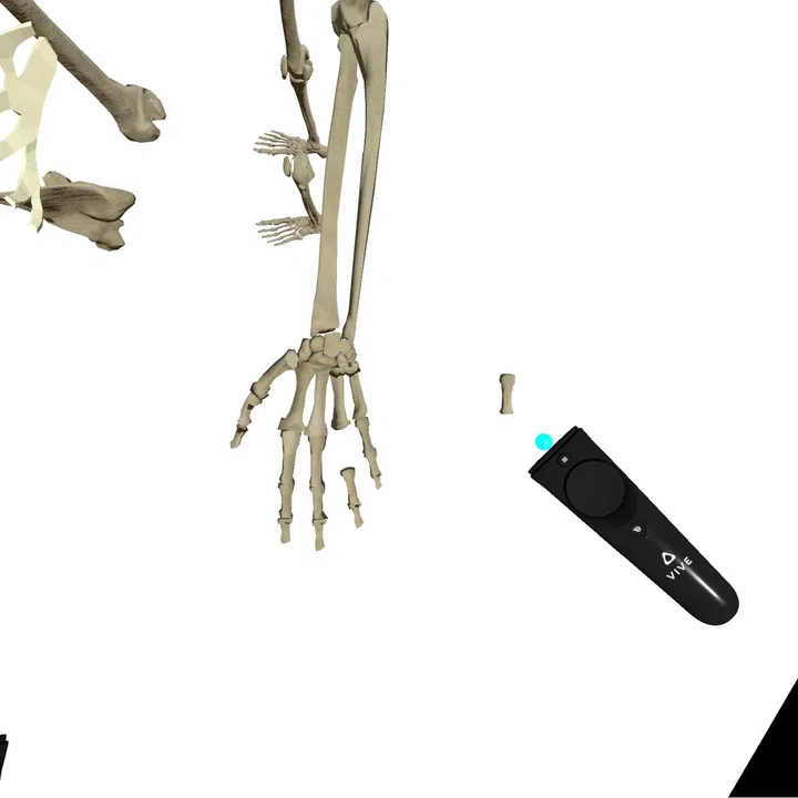 VR Anatomy Screenshot 1