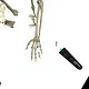 VR Anatomy Screenshot 1