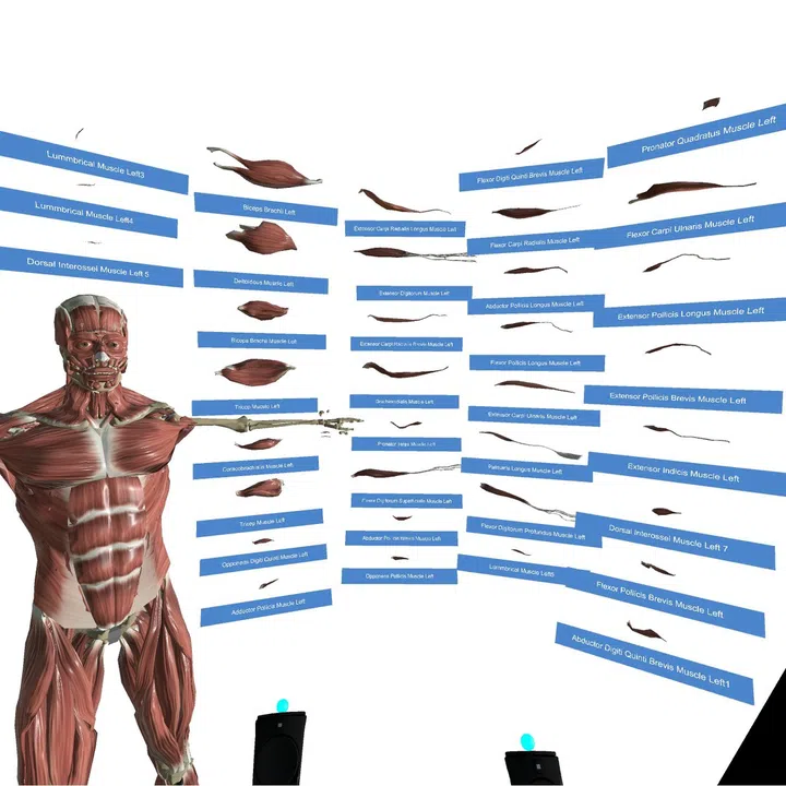 VR Anatomy Screenshot 6