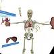 VR Anatomy Screenshot 4