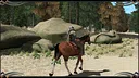 Two Worlds Epic Edition Screenshot 3