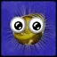 Warp King Gold icon
