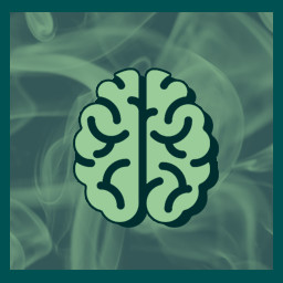 Big Brain Moment icon