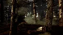 Dr. Emmerson's Nocturnes Demo Screenshot 2