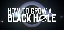 How To Grow a Black Hole