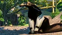 Planet Zoo: South America Pack  Screenshot 5