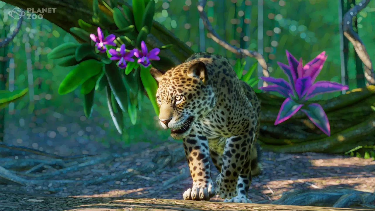 Planet Zoo: South America Pack  Screenshot 1