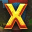 X icon
