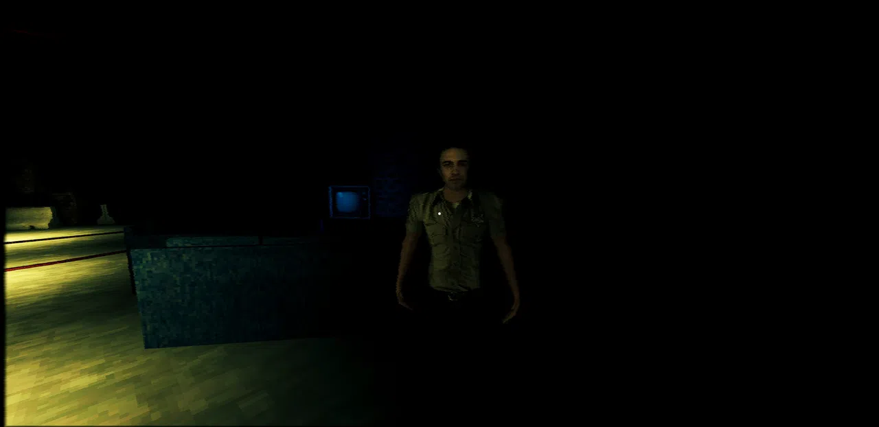 Probation Protocol Screenshot 6