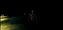 Probation Protocol Screenshot 6