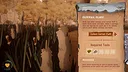 Akiiwan: Relaxing Survival Demo Screenshot 2