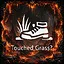 Touched Grass? icon