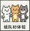 组队初体验 icon
