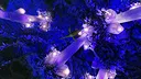 ARK: Aquatica - Luminati Suns Song Screenshot 1