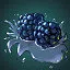 Blackberry Juice icon