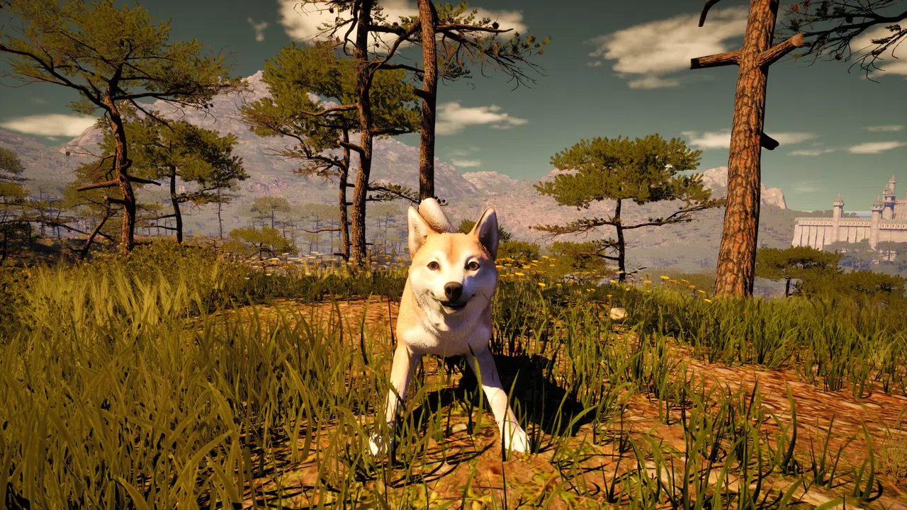Medieval Shepherd Screenshot 1