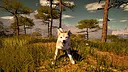 Medieval Shepherd Screenshot 1