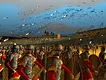 Rome: Total War™ - Collection Screenshot 13