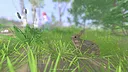 Grow Wild Demo Screenshot 6