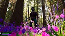 Paul Bunyan Back to Bangor Screenshot 0