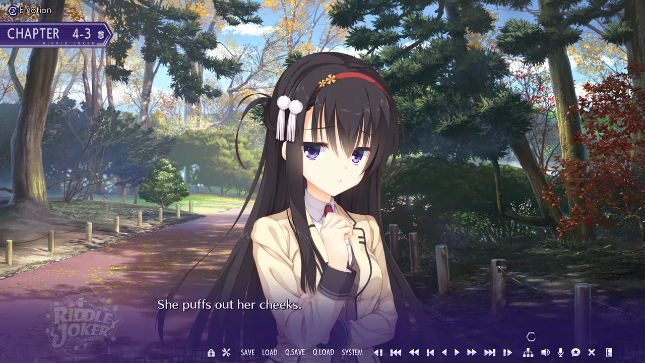 Riddle Joker Screenshot 13