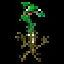 Iron Stomach icon
