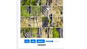 ZebraPuzzle.hgm Screenshot 1