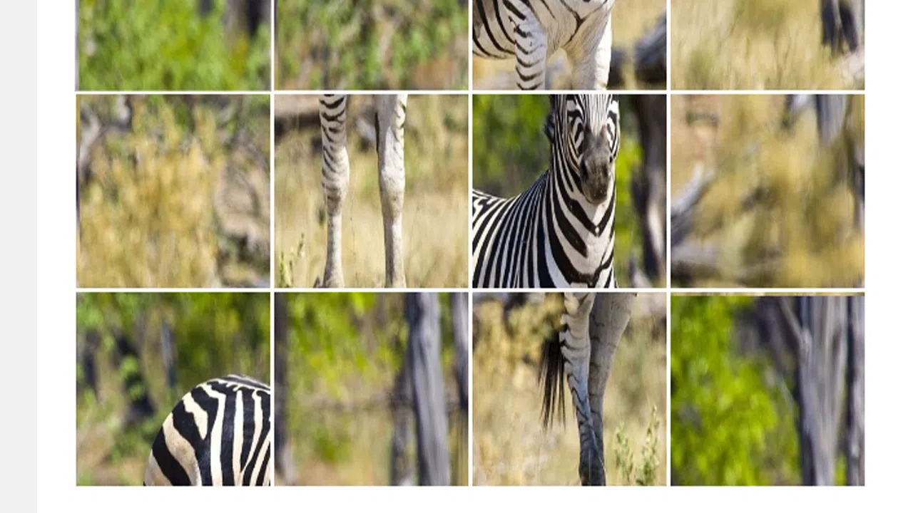 ZebraPuzzle.hgm Screenshot 3