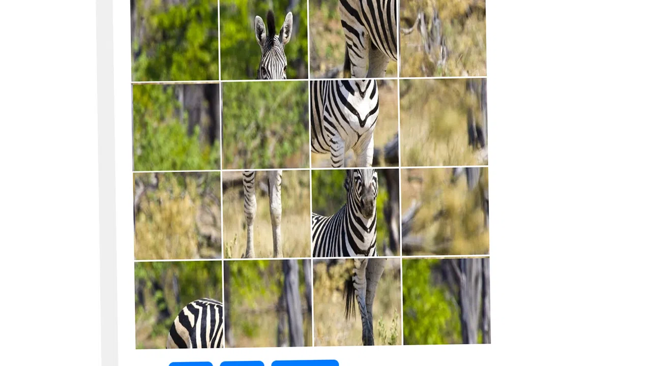 ZebraPuzzle.hgm Screenshot 2