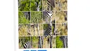 ZebraPuzzle.hgm Screenshot 2