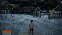 Survive The Island Screenshot 6