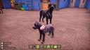 Animal Shelter 2 - Hunting Dogs Pack Screenshot 7