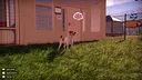 Animal Shelter 2 - Hunting Dogs Pack Screenshot 12