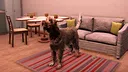 Animal Shelter 2 - Hunting Dogs Pack Screenshot 5