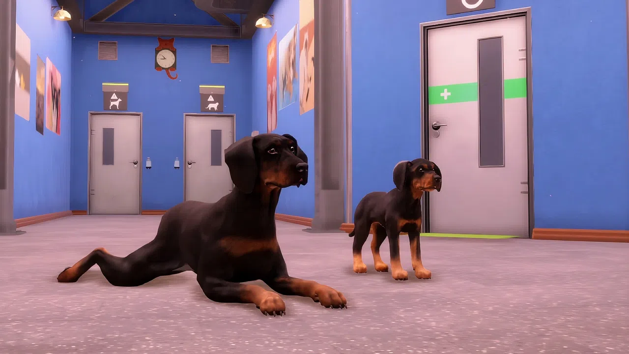 Animal Shelter 2 - Hunting Dogs Pack Screenshot 2