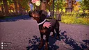 Animal Shelter 2 - Hunting Dogs Pack Screenshot 16