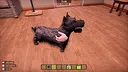 Animal Shelter 2 - Hunting Dogs Pack Screenshot 4
