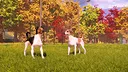 Animal Shelter 2 - Hunting Dogs Pack Screenshot 3