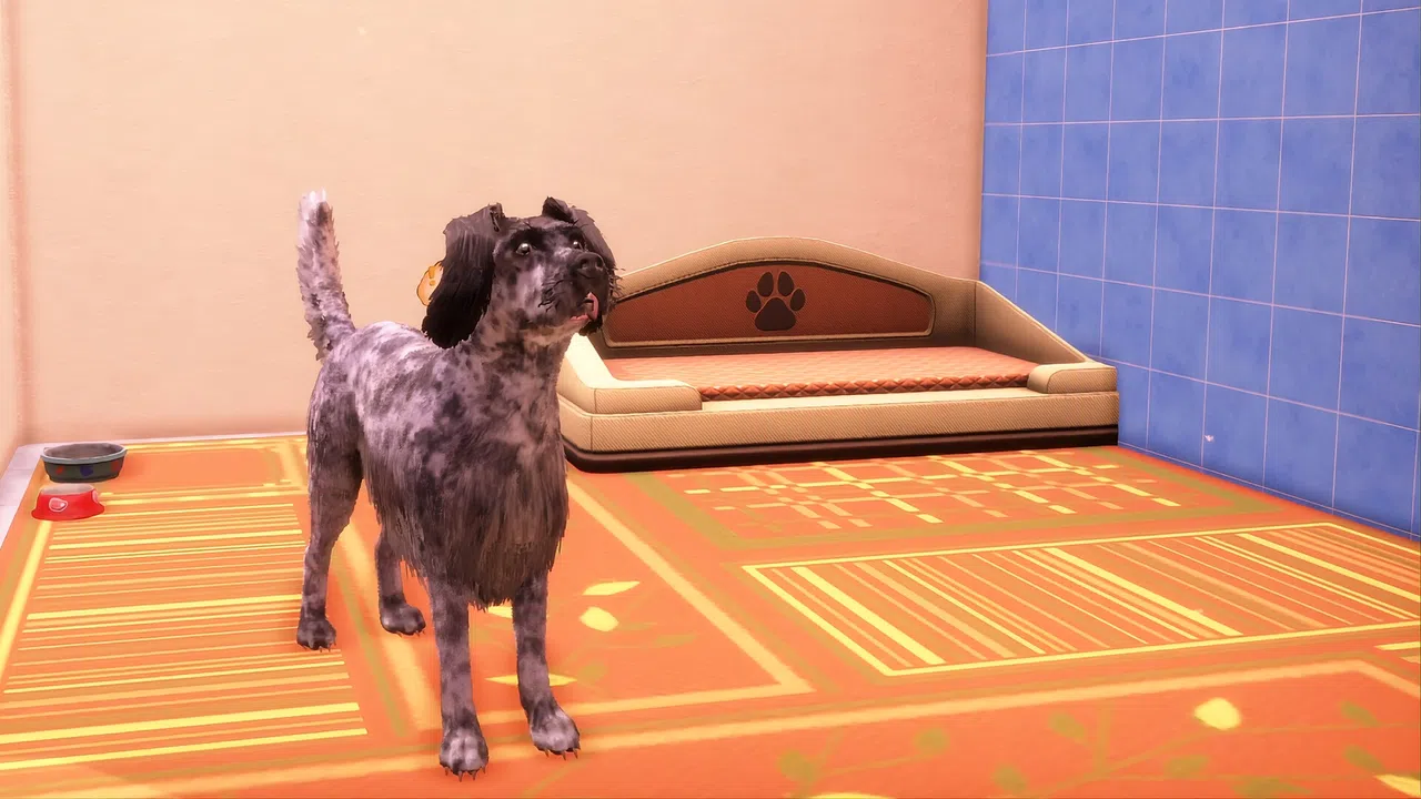 Animal Shelter 2 - Hunting Dogs Pack Screenshot 6