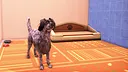 Animal Shelter 2 - Hunting Dogs Pack Screenshot 6