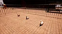 TAOQUAN Screenshot 4