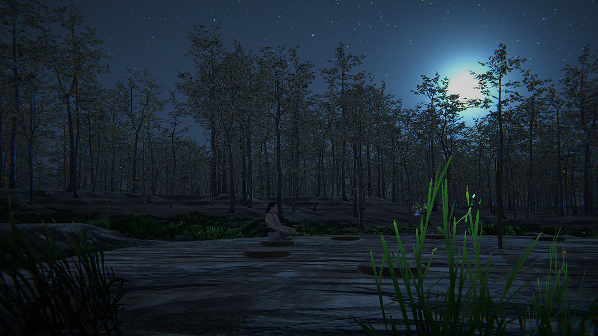Trigrams Roam the Wilderness Screenshot 2