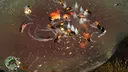 Naval Warfare Screenshot 3