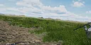 GUTTERBORN Screenshot 2