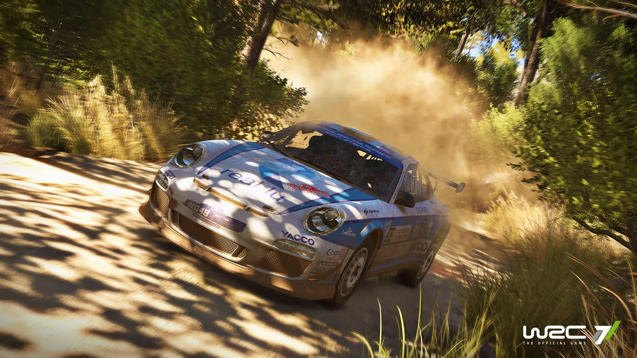 DLC - WRC 7 Porsche Car Screenshot 2