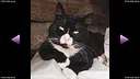 TitTok Kitty Demo Screenshot 6